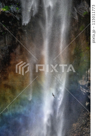 栃木県日光市　虹と岩つばめ 115011773