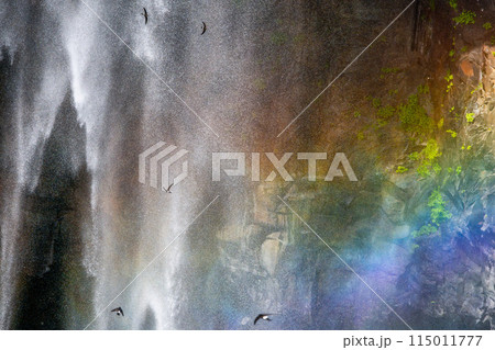 栃木県日光市　虹と岩つばめ 115011777