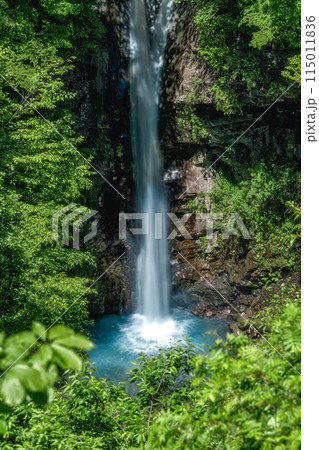 栃木県 新緑の駒止の滝 栃木県 新緑の駒止の滝 115011836