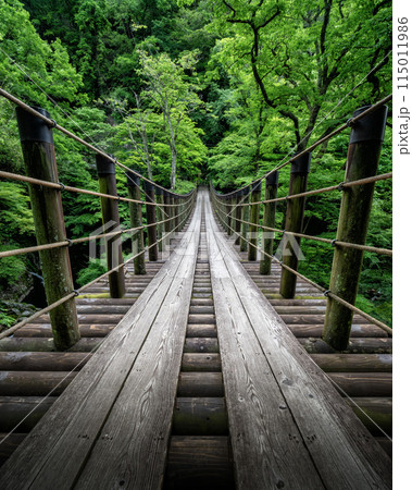 新緑の花貫渓谷　汐見滝吊り橋 115011986
