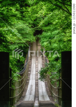 新緑の花貫渓谷 汐見滝吊り橋 新緑の花貫渓谷 汐見滝吊り橋 115011990
