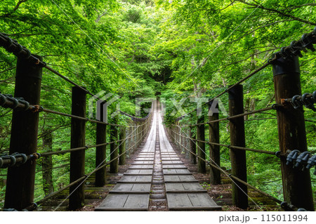 新緑の花貫渓谷　汐見滝吊り橋 115011994