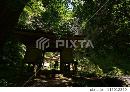 新緑の壇鏡の滝 新緑の壇鏡の滝 115012250