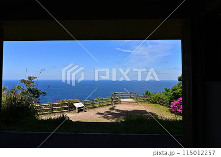 白島崎展望台からの景色 白島崎展望台からの景色 115012257