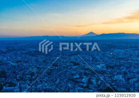 （神奈川県）横浜市の街並み　富士山遠望　夕景 115012910