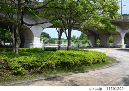 21世紀の森と広場にて、千葉県松戸市 115012924