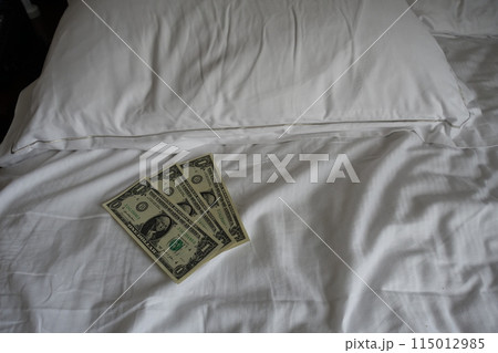 ピローチップ ベッドメイキング チップ ドル ピローチップ ベッドメイキング チップ ドル 115012985