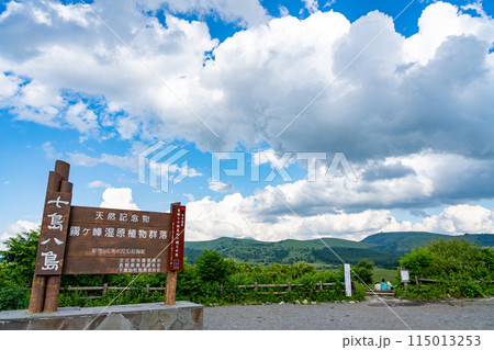 長野県下諏訪町 夏の八島湿原をトレッキングする人 長野県下諏訪町 夏の八島湿原をトレッキングする人 115013253