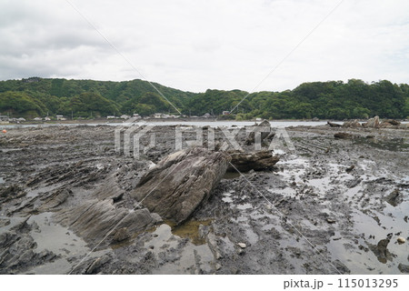 江田海岸 115013295
