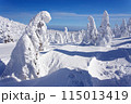 蔵王の樹氷 115013419