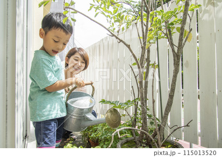 親子で植木に水やり 親子で植木に水やり 115013520