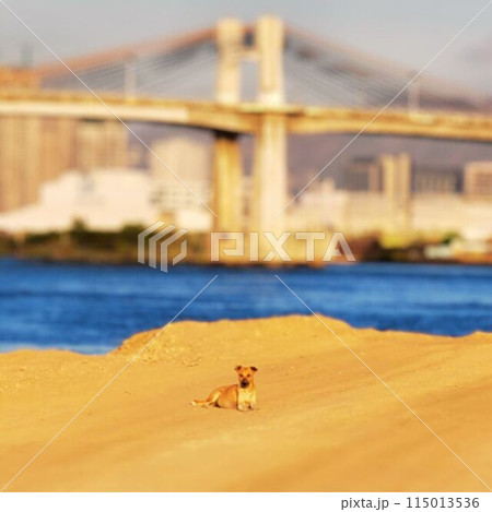 警備犬 115013536