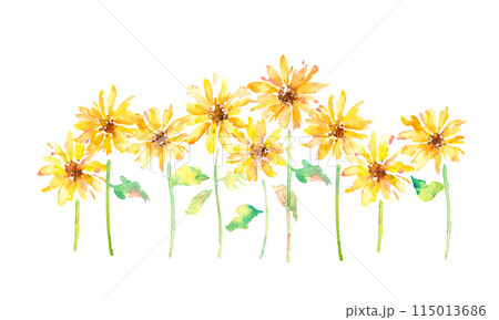 夏の向日葵イラスト。向日葵の水彩風ベクターイラスト。水彩画で描いた向日葵イラスト。 115013686