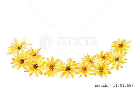 夏の向日葵イラスト。向日葵の水彩風ベクターイラスト。水彩画で描いた向日葵イラスト。 115013687