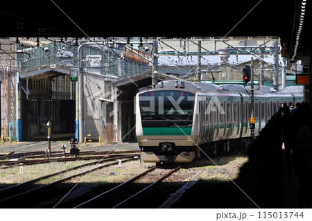 埼京線E233系東京総合車両センター出場回送（大宮駅側線より川越線へ） 115013744