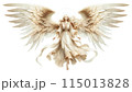 大きな翼を持つ白い天使 115013828