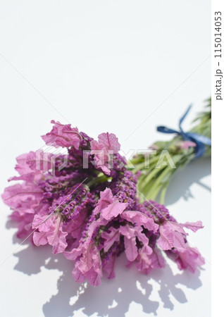 白バックにフレンチラベンダーの花束　　　　　 115014053