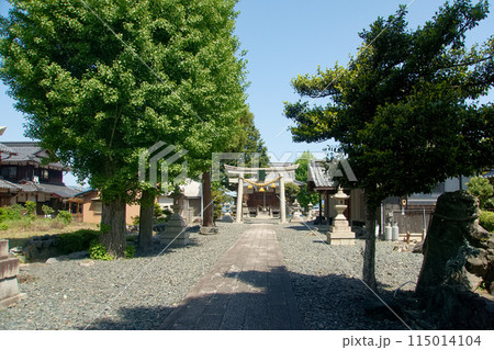 青い空の下の鳥居　【小江神社】 115014104