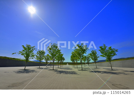 道の駅　高田松原（岩手県陸前高田市） 115014265