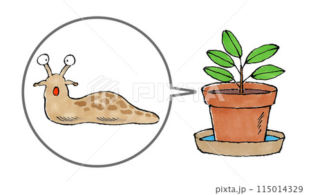 ナメクジと植木鉢 ナメクジと植木鉢 115014329