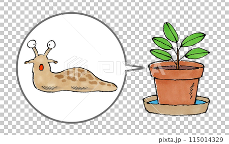 ナメクジと植木鉢 ナメクジと植木鉢 115014329