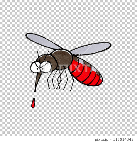 Mosquito sucking blood 115014345