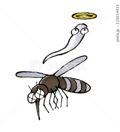 死んだ蚊 死んだ蚊 115014433