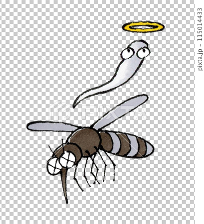 死んだ蚊 死んだ蚊 115014433