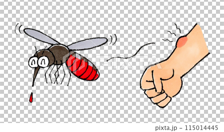 A mosquito sucking blood and an arm 115014445