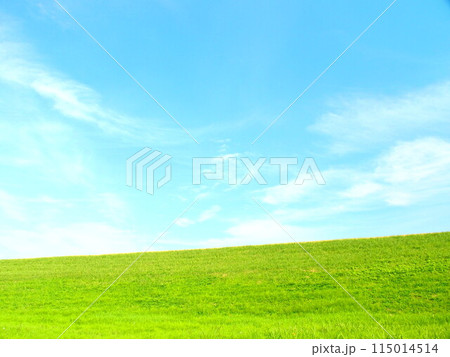 除草された秋の江戸川土手風景 115014514