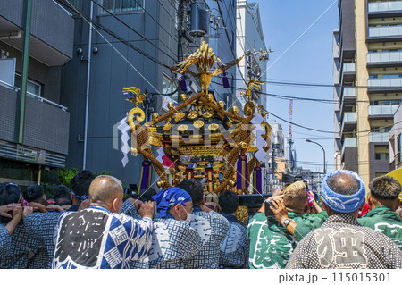 浅草　三社祭　お神輿の渡御　町内神輿連合渡御（ちょうないみこしれんごうとぎょ）） 115015301