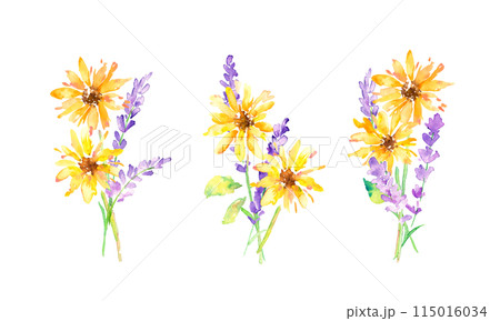 水彩画。水彩タッチのラベンダーイラスト。ラベンダーのベクターイラスト。夏のラベンダー背景。 115016034