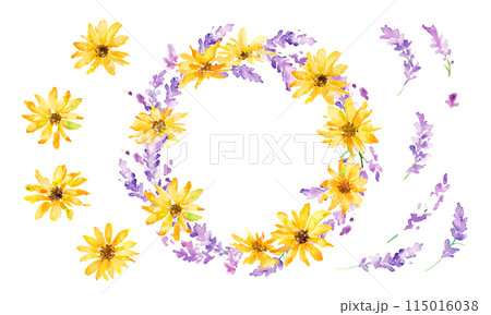 水彩画。水彩タッチのラベンダーイラスト。ラベンダーのベクターイラスト。夏のラベンダー背景。 115016038