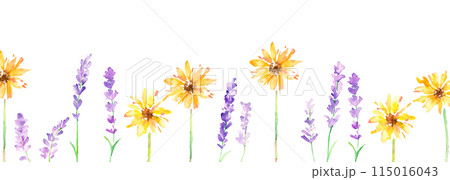 水彩画。水彩タッチのラベンダーイラスト。ラベンダーのベクターイラスト。夏のラベンダー背景。 水彩画。水彩タッチのラベンダーイラスト。ラベンダーのベクターイラスト。夏のラベンダー背景。 115016043