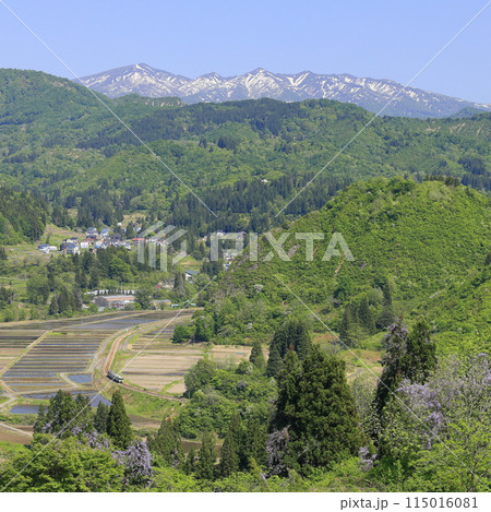 新緑の只見線 新緑の只見線 115016081