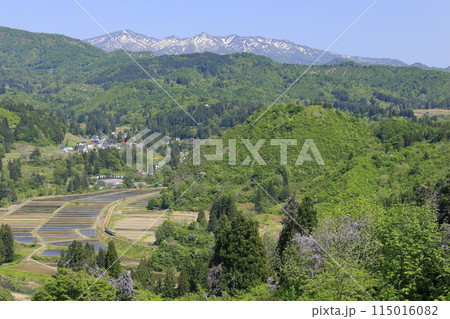 新緑の只見線 115016082