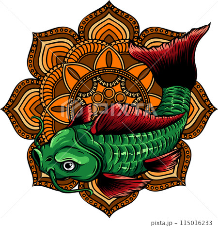 colored draw of Carp Fish Vector Illustration design 115016233