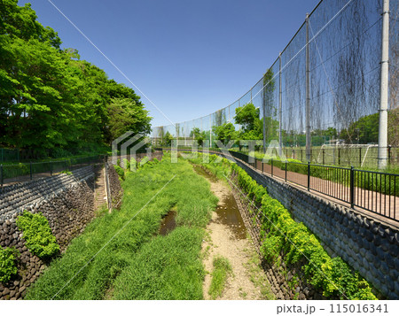 石神井川　下野谷橋付近　東京都 115016341