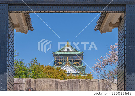 【桜】春の大阪城公園　桜門から見える大阪城天守閣 115016643