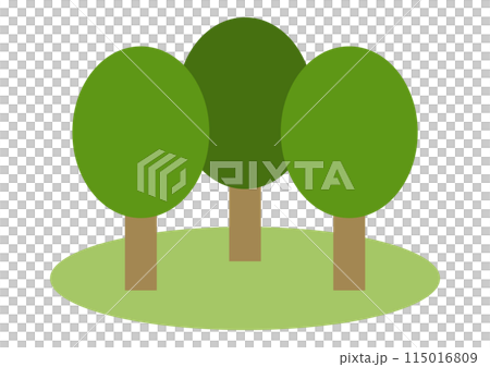 緑が生い茂る木々の風景 115016809