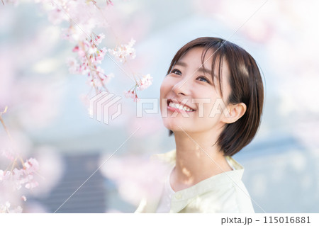 桜の花を見る女性　桜を愛でる女性 115016881