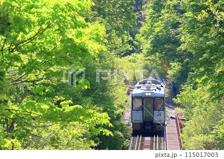 新緑の只見線 新緑の只見線 115017003