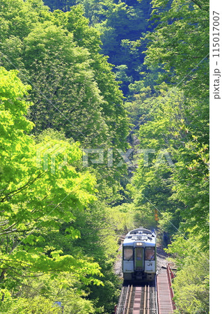 新緑の只見線 115017007