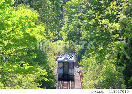新緑の只見線 新緑の只見線 115017010