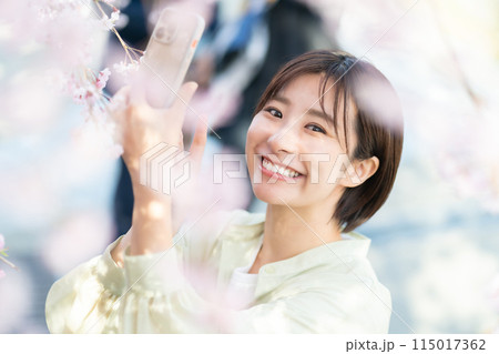 スマホで桜を撮影する女性 桜の花を見る女性 桜を愛でる女性 スマホで桜を撮影する女性 桜の花を見る女性 桜を愛でる女性 115017362