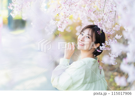 桜の花を見る女性　桜を愛でる女性 115017906