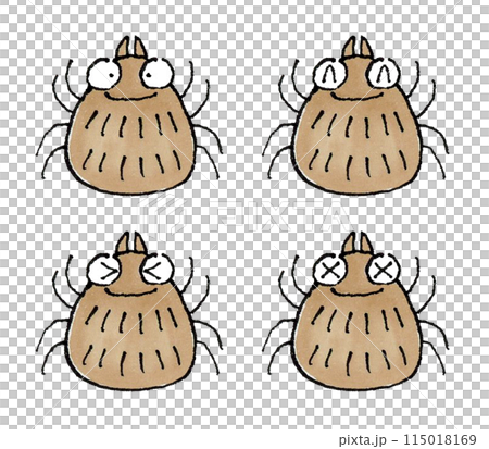 Tick Set 115018169
