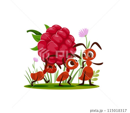Cartoon ants carry a raspberry. Vector pest characters stock up food. Funny insect colony personages with ripe berry on summer lawn. Termites or bugs working together on in natural summer environment 115018317