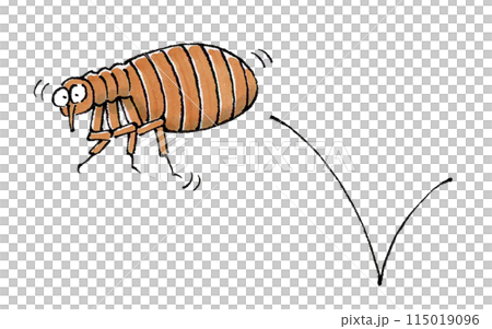 ジャンプするノミ 115019096