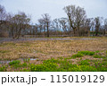 滋賀県高島市の春の針江浜湖畔風景です 115019129